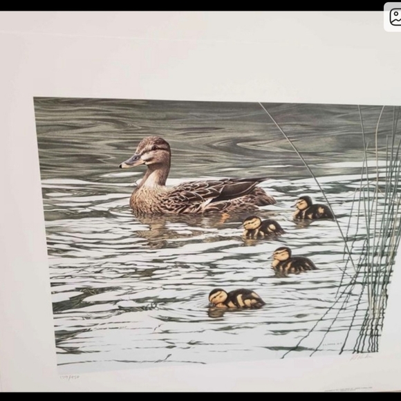 🦆Signed limited edition Ron Parker print "Mallard Family"🦆 (Unframed) - Picture 2 of 6
